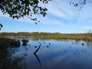 Tussen Frankrijk en Egypte