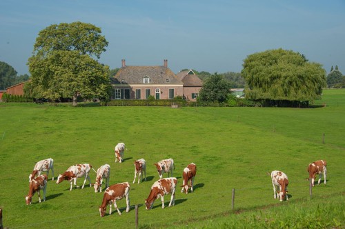 Woldermarkerpad