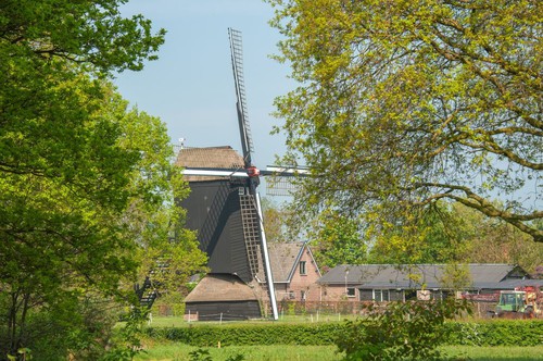Doesburgermolenpad