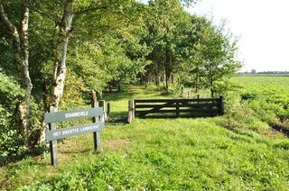 Scharreveld