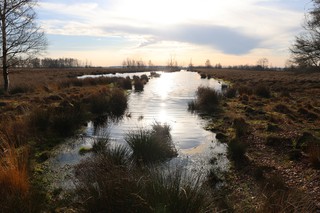 Moor|Veenlandpad - etappe 3