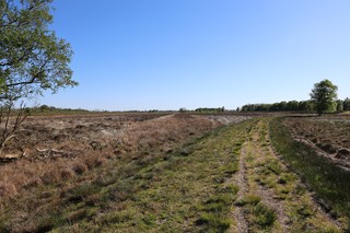 Moor|Veenlandpad - etappe 2